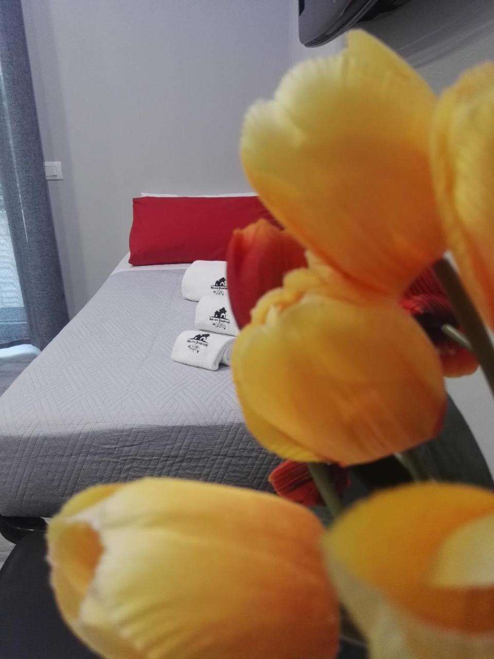 B&B Da Lillo Frosinone Buitenkant foto